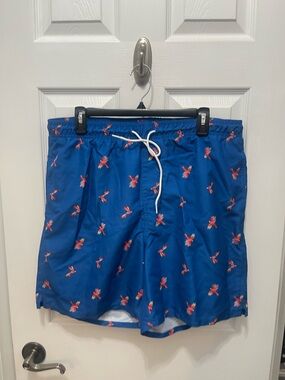 Old Navy Blue Swim Shorts with Red Parrot Print